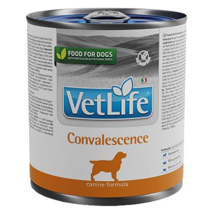 Farmina Vet Life Convalescence Canine