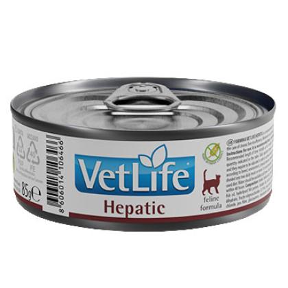 Farmina Vet Life Hepatic Feline