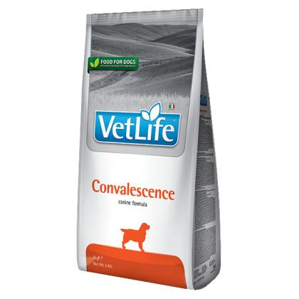 Vet Life Convalescence Canine