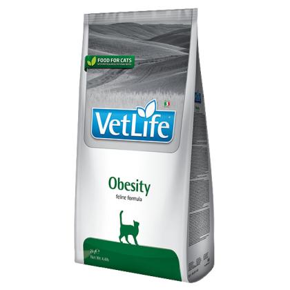 Vet Life Obesity Feline